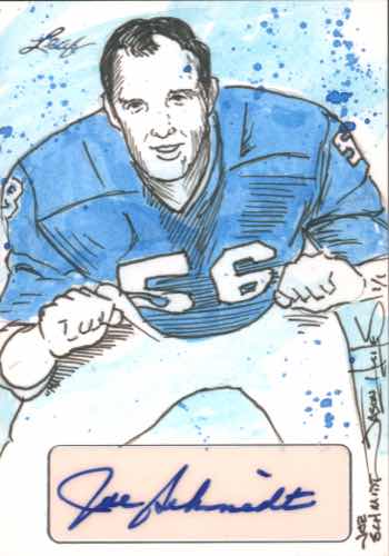 Joe Schmidt