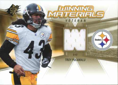 Troy Polamalu