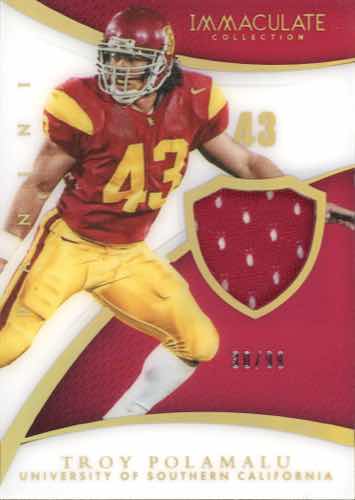 Troy Polamalu