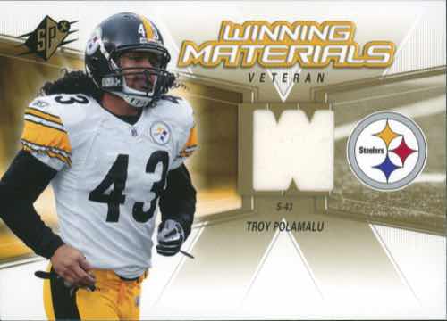 Troy Polamalu